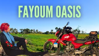 Fayoum Oasis  Ancient Crocodile City of Egypt  Egypt Vlog 132  رحلة بالموتسيكل الى الفيوم [upl. by Elmo]