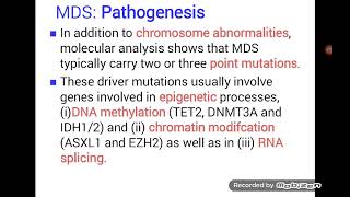 Myelodysplastic Syndrome  MDS [upl. by Oznole19]