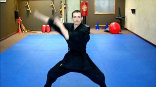 Kata 1  Shaolin Kempo Form [upl. by Jaquenetta]