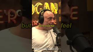 Stephen Hawking was a FREAK  Joe Rogan [upl. by Ydnik]