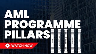 The 5 Pillars of an AML Compliance Programme [upl. by Nessnaj625]