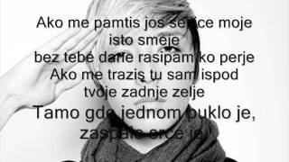 Milan Stankovic  Perje 2011 tekst [upl. by Aber650]