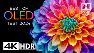 OLED TEST 2024  4K HDR Video ULTRA HD 60FPS  DOLBY VISION [upl. by Lang]