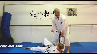 Bassai Dai Bunkai Strategies 2024 week 18 koryu karate oyo jutsu [upl. by Asssilem833]