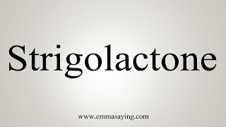 How To Say Strigolactone [upl. by Atenahs187]