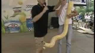 Snake Slithers Into Reporters Pants On Live TV [upl. by Pigeon]