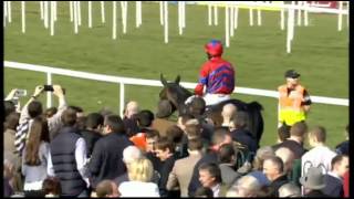 Sprinter Sacre  Boylesports Champion Chase Punchestown 2013 [upl. by Eeroc]