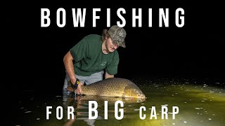 BOWFISHING for BIG Carp [upl. by Quillan]