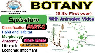 Equisetum life cycleReproductionEconomic Importance of EquisetumPart2 [upl. by Jamima]