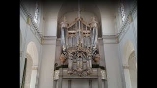 Memory Gorinchem NL Grote Kerk Bätz Witte organ [upl. by Nylitsirk728]