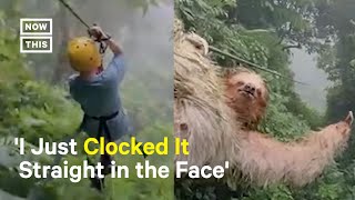 Boy Collides With Sloth While Ziplining Short [upl. by Skyler147]