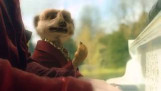 Meerkat Duet advert [upl. by Attenej]