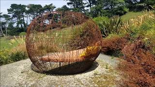 Bellbird Song at Fishermans Bay Garden  New Zealand [upl. by Travus]