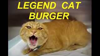 LEGEND ANGRY CAT quotBURGERquot SCREAMS LOUD [upl. by Rachaba913]