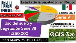 QGIS Diagnóstico de la vegetación en México INEGI Serie 7 ¿Cuáles son los principales ecosistemas [upl. by Magnum]