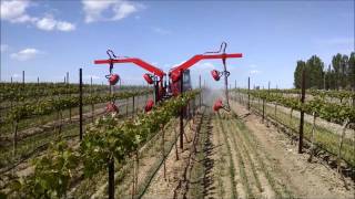 Quantum Mist Sprayer Vineyard Spring [upl. by Mosira706]