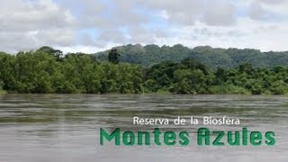 Reserva de la Biosfera Montes Azules [upl. by Asen]