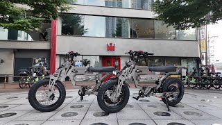 EBike WEPED F1 first delivery [upl. by Gracye]