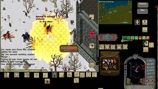 Ultima Online  Bush mage totally maxed EPIC Dmg [upl. by Kutzer]