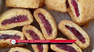 National Fig Newton Day on January 16 [upl. by Radmilla]