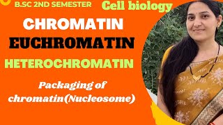 ChromatinEuchromatinHeterochromatinPackaging of ChromatinNucleosome ModelBSc 1st year [upl. by Jehias]