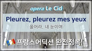 오페라 Le Cid  Pleurez Pleurez mes yeux  홍연출의 프랑스어 뜻풀이 amp 딕션 완전정복 노래로 배우는 프랑스어 [upl. by Cinomod352]