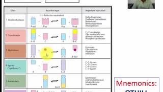 How to remember enzyme classification easily [upl. by Culhert]