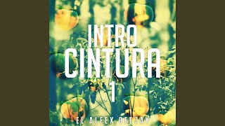 Intro Cintura [upl. by Riane]