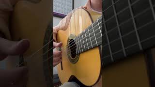 Paso Doble guitar guitarstyle flamencoguitarist fingerstyleguitar acousticguitar [upl. by Dian]