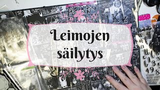 Leimojen säilytys [upl. by Adolpho981]