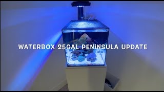 Waterbox 25gal Peninsula March 2023 Update reefinganemonesDIYstand [upl. by Monsour873]