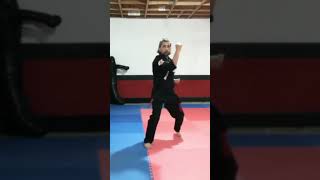 Short Form 1 Kenpo Karate  Kenpo Karate Techniques kenpo kenpokarate americankenpo [upl. by Aniluj]