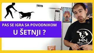 PAS  ŠTENE GRIZE POVODAC U ŠETNJI  REŠI PROBLEM [upl. by Alohs499]