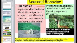 Ethology Practical 3 Characteristics of different types of animal behavior acquired learned [upl. by Cariotta]