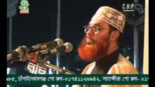 Delwar Hossain Sayeedi Allah Siristir Bishalota [upl. by Truelove]