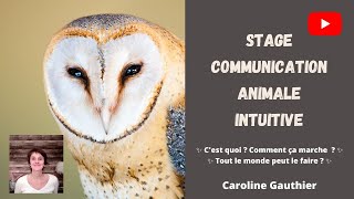 Formation en Communication Animale Intuitive  Stage avec Caroline Gauthier [upl. by Mariand]