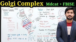 Understanding the Golgi Apparatus and Cell Organelles  Class 11 Biology  Irtisams Biology [upl. by Cumine]