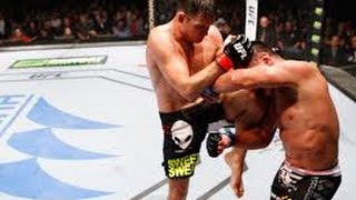 UFC Fight Night 48 Michael Bisping vs Cung Le Full fight review shot by shot photo by photo [upl. by Eissirc]