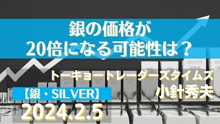 銀の価格が20倍になる可能性は？【銀】2425商品先物投資情報GoldTVnet [upl. by Akcinat278]