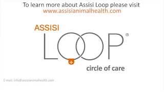 The Assisi Loop® helps treat Bonos Wobblers Syndrome [upl. by Nojed]