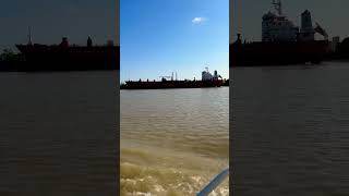 🌊⛴️ L’estuaire de la Gironde  Bec d’Ambes ⛴️🌊 youtubeshorts 2024 travel sunset [upl. by Nylsirhc]