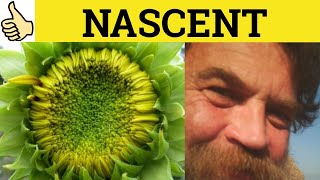 🔵Nascent Meaning  Nascent Examples  Nascent in a Sentence  Nascent [upl. by Erlond247]