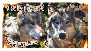 Buchtrailer Woodwalkers 6 [upl. by Nyliram]