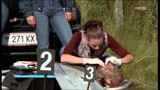 SOKO Kitzbuehel  skateboard the cradle skatepark mpg [upl. by Llessur]