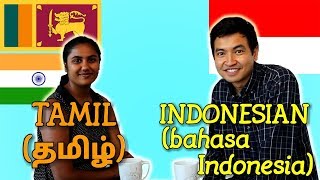 Similarities Between Tamil and Indonesian [upl. by Cassil]