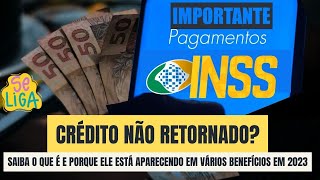 Crédito não retornado  Saiba o que isso significa para os segurado do INSS [upl. by Inalaek397]