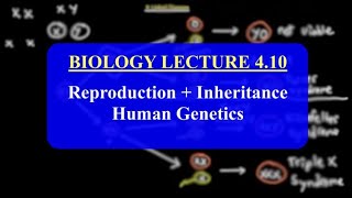 IMAT Biology Lesson 410  Reproduction  Inheritance  Human Genetics [upl. by Ereveneug512]