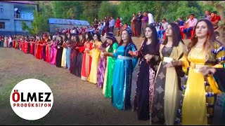 Büyük bir Kürt Aşireti Düğünü Qeşuran Aşireti Şırnak kurdish wedding [upl. by Elagiba]