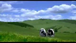 Happy Cows  sheep escape [upl. by Annadiana]