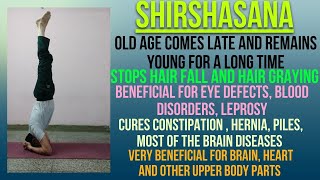 SHIRSHASANA AND ITS BENEFITS  GM YOGA amp FITNESS WORLD  yoga shirshasana [upl. by Gorrian518]